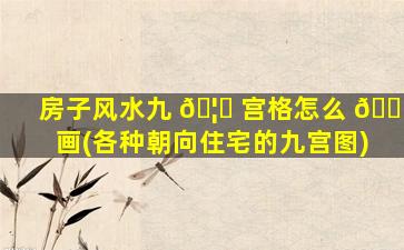 房子风水九 🦊 宫格怎么 🕷 画(各种朝向住宅的九宫图)